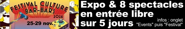 Festival Culture Bar-Bars, du 25 au 29 novembre : expo et 8 spectacles en entrée libre sur 5 jours