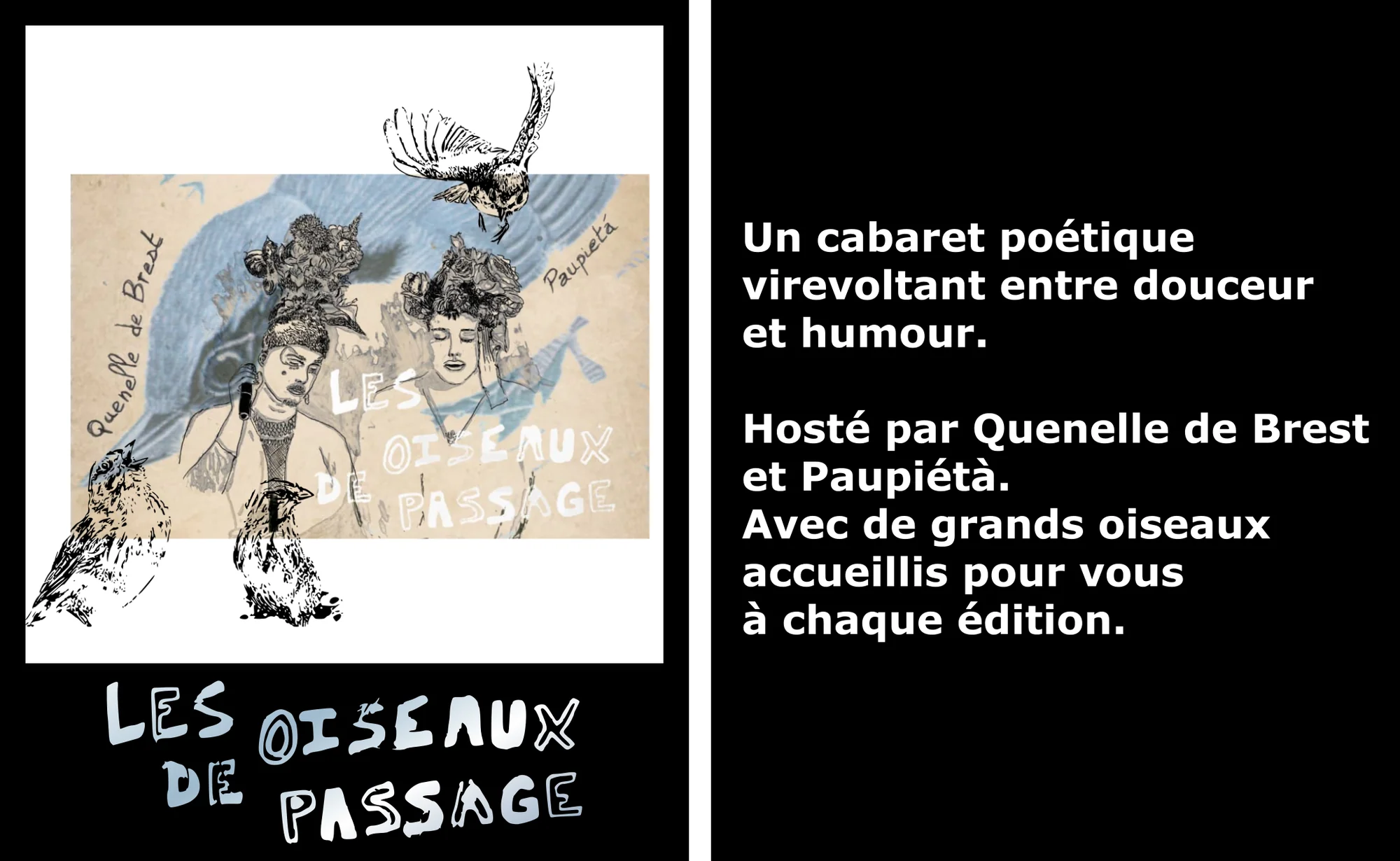 Cabaret Des Oiseaux De Passage
